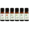 Plant Therapy Breathe Easy set esenciálnych olejov pre Ľahké dýchanie 6x 10 ml Plant Therapy Breathe Easy set esenciálnych olejov pre Ľahké dýchanie 6x 10 ml