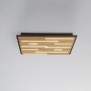 Q-Smart-Home Paul Neuhaus Smart LED stropné svietidlo Q-Acoustic wood 62 x 62 cm - 6423-79 Q-Smart-Home Paul Neuhaus Smart LED stropné svietidlo Q-Acoustic wood 62 x 62 cm - 6423-79