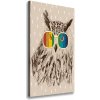 Vertikálny foto obraz na plátne Sovy v okuliaroch 50x100 cm Vertikálny foto obraz na plátne Sovy v okuliaroch 50x100 cm