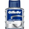 Gillette Revitalizing Sea Mist voda po holení 100ml Gillette Revitalizing Sea Mist voda po holení 100ml