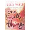 One Small Thing One Small Thing