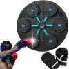 Elektronický boxerský terč s LED osvetlením a rukavicami - 35 cm Elektronický boxerský terč s LED osvetlením a rukavicami - 35 cm