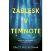 Záblesk v temnote - Stacy Willingham