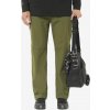 Salomon Wayfarer 2.0 Pants M zelená