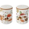 Soľnička a korenička sada 2 ks Autumn Breeze - Easy Life Soľnička a korenička sada 2 ks Autumn Breeze - Easy Life