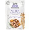 Kapsička pre mačky Brit Care Savory Salmon for Kitten Jelly 85 g Kapsička pre mačky Brit Care Savory Salmon for Kitten Jelly 85 g