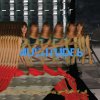 Feist: Multitudes - Vinyl (LP) Feist: Multitudes - Vinyl (LP)
