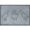 Turtle® Mat Absorpčná rohožka do domácnosti - Ducks Rozmer: 60x85 cm Turtle® Mat Absorpčná rohožka do domácnosti - Ducks Rozmer: 60x85 cm
