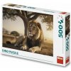 Puzzle Odpočívající lev 500 dílků Puzzle Odpočívající lev 500 dílků