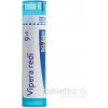 Vipera Redi gra.1 x 4 g 9CH