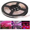 HIBRIGHT LED pásik pre rast rastlín, SMD 5050, 5m, 60 led/m, 14,4W/m vodotesný pás HIBRIGHT LED pásik pre rast rastlín, SMD 5050, 5m, 60 led/m, 14,4W/m vodotesný pás