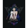 Zuty – Wonder Woman trojuholník, 40 × 50 cm, plátno napnuté na rám 8596530192770 Zuty – Wonder Woman trojuholník, 40 × 50 cm, plátno napnuté na rám 8596530192770
