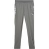 Puma Team Cup Training Pants 659175-13