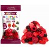 Mixit Chrumkavé ovocie do vrecka Lesný mix 20 g Mixit Chrumkavé ovocie do vrecka Lesný mix 20 g