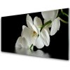 Sklenený obklad Do kuchyne Orchidea vo vode kvety 100x50 cm Sklenený obklad Do kuchyne Orchidea vo vode kvety 100x50 cm