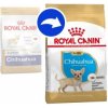 Royal Canin chihuahua puppy Royal Canin Royal Canin chihuahua puppy Royal Canin