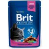 Brit Premium Cat Pouches with Chicken and Turkey 100 g Brit Premium Cat Pouches with Chicken and Turkey 100 g