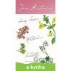 E-kniha Lady Susan, Watsonovi, Sanditon - Jane Austen E-kniha Lady Susan, Watsonovi, Sanditon - Jane Austen