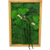 Machový obraz Jungle II. 50x35cm Machový obraz Jungle II. 50x35cm