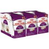 Royal Canin FHN Sensory Feel Gravy 36 x 85 g