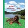 Veľké dobrodružstvá malého havkáča - Mária Ševčíková-Vrkoslavová Veľké dobrodružstvá malého havkáča - Mária Ševčíková-Vrkoslavová