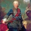 W.F. BACH: Flute Sonatas and Trios (CD) (Wilbert Hazelzet, Marion Moonen, Jacques Ogg, Jaap ter Linden) W.F. BACH: Flute Sonatas and Trios (CD) (Wilbert Hazelzet, Marion Moonen, Jacques Ogg, Jaap ter Linden)