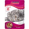 Super Benek Super Chunks 24 × 100 g - hovädzie v omáčke Super Benek Super Chunks 24 × 100 g - hovädzie v omáčke