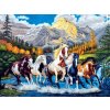Norimpex Puzzle diamantová maľba Škvrnité kone 30 x 40 cm