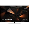 We. by Loewe SEE 55 OLED Coal Black 64555L10 - 4K OLED TV We. by Loewe SEE 55 OLED Coal Black 64555L10 - 4K OLED TV