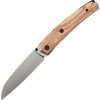 ! Petrified Fish PF719 Patte V2 14C28N Satin Olive wood PF719OWOS