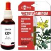 Herbatica Lastovičník balzam • Bradavice Otlaky Papilómy 1,2ml, Variant • Lastovičník extrakt + Dračia krv 30ml (+16,90€) Herbatica Lastovičník balzam • Bradavice Otlaky Papilómy 1,2ml, Variant • Lastovičník extrakt + Dračia krv 30ml (+16,90€)