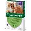 Advantage pre veľké mačky a králiky 80mg 4x0,8ml Advantage pre veľké mačky a králiky 80mg 4x0,8ml