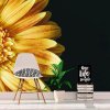Sablio Tapeta Žltá gerbera: 336x220 cm