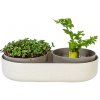Plastia Kľúčiaca miska MICROGREENS + Regrow - slonová kosť Plastia Kľúčiaca miska MICROGREENS + Regrow - slonová kosť