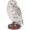 Harry Potter Soška – sova Hedviga – 24 cm Harry Potter Soška – sova Hedviga – 24 cm