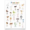 Plagát Prvé slová - Zvieratková abeceda Plagát Prvé slová - Zvieratková abeceda