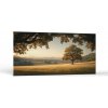 Príroda Samotný dub | Obrazy Vintessia Rozmery panoráma: 50x100 Príroda Samotný dub | Obrazy Vintessia Rozmery panoráma: 50x100