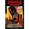 Stranger Things: Darkness on the Edge of Town : The Second Official Stranger Things: Darkness on the Edge of Town : The Second Official