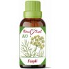 Bylinné kapky Fenikel plod BIO, 50 ml Bylinné kapky Fenikel plod BIO, 50 ml