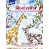 Vymaľovánky antistresové Život zvierat Vymaľovánky antistresové Život zvierat