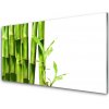 Nástenný panel Bambus rastlina 100x50 cm Nástenný panel Bambus rastlina 100x50 cm