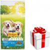 PURINA Friskies Junior 15kg + prekvapenie pre vášho psa ZDARMA PURINA Friskies Junior 15kg + prekvapenie pre vášho psa ZDARMA