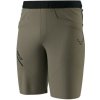 Pánske turistické kraťasy Dynafit TRAVERSE HYBRID SHORTS - svetlo hnedá L Pánske turistické kraťasy Dynafit TRAVERSE HYBRID SHORTS - svetlo hnedá L