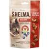 POCHÚŤKY PRE MAČKY SHELMA VANKÚŠIKY S HOVÄDZÍM MÄSOM A ČUČORIEDKAMI 60G BEZ OBILNÍN POCHÚŤKY PRE MAČKY SHELMA VANKÚŠIKY S HOVÄDZÍM MÄSOM A ČUČORIEDKAMI 60G BEZ OBILNÍN