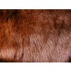 Umelá kožušina, ryšavo hnedá, 25 mm vlas metráž: min. 0,2 bm Umelá kožušina, ryšavo hnedá, 25 mm vlas metráž: min. 0,2 bm