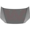 Kapota motora VAN WEZEL 8251660