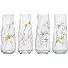 Crystalex Sklenice na prosecco MEADOW 4 x 250 ml Crystalex Sklenice na prosecco MEADOW 4 x 250 ml