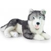 Veľký pes husky ECO-FRIENDLY 60 cm