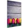Vertikálny foto obraz akrylový Farebné tulipány 50x100 cm Vertikálny foto obraz akrylový Farebné tulipány 50x100 cm