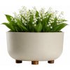 HowHomely PLASTOVÝ KVETINÁČ TERRA 27X17 CM BÉŽOVÁ HowHomely PLASTOVÝ KVETINÁČ TERRA 27X17 CM BÉŽOVÁ